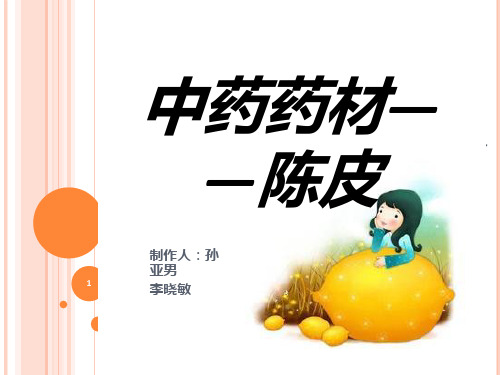 陈皮--松针PPT课件