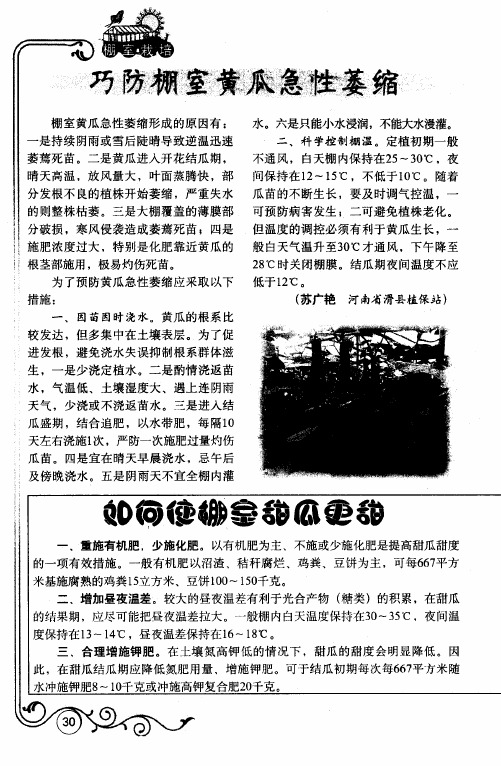 如何使棚室甜瓜更甜