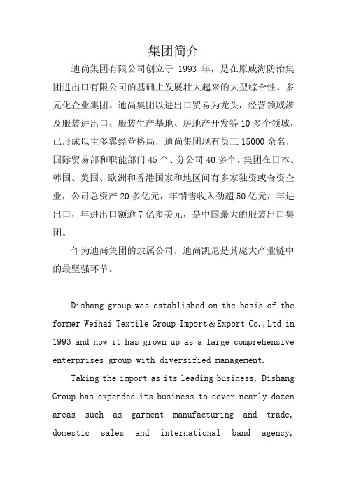迪尚集团简介
