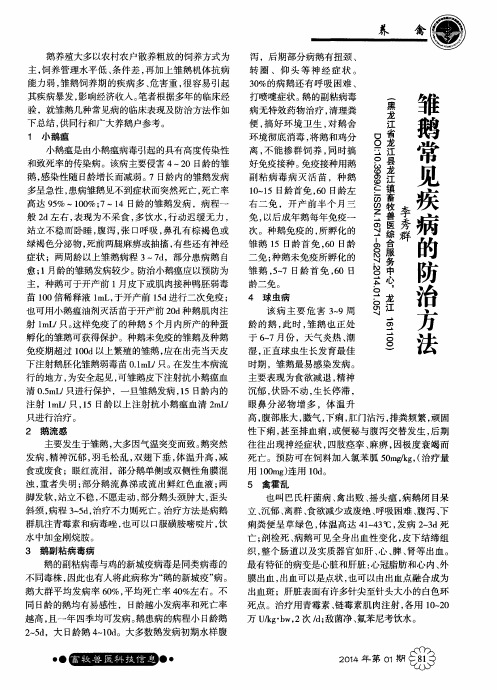 雏鹅常见疾病的防治方法