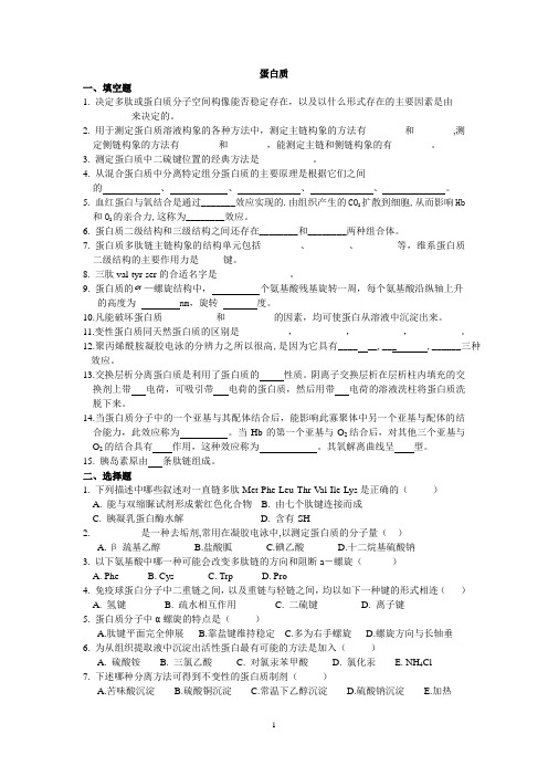 有关蛋白质的练习题
