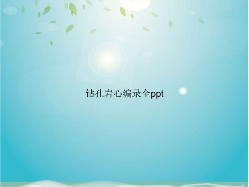 钻孔岩心编录全