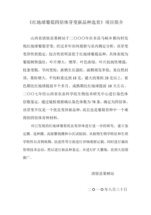 红地球葡萄四倍体芽变新品种选育