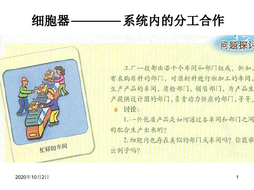 细胞器PPT课件