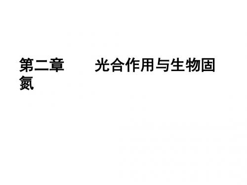 第二章  光合作用与生物固氮高品质版