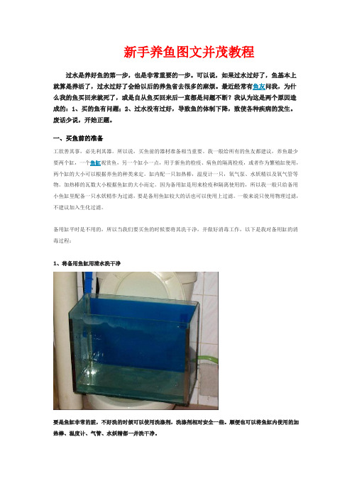 新手养鱼图文并茂教程