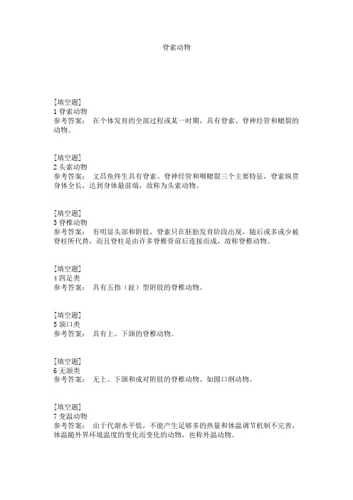 脊索动物