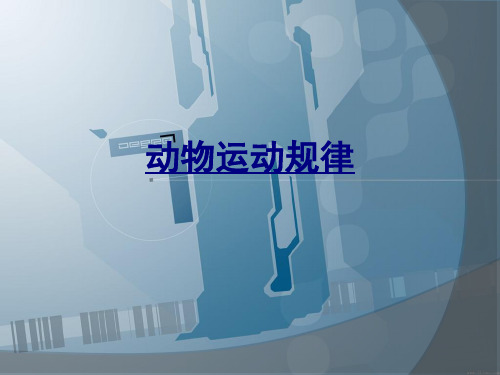 动物运动规律讲义