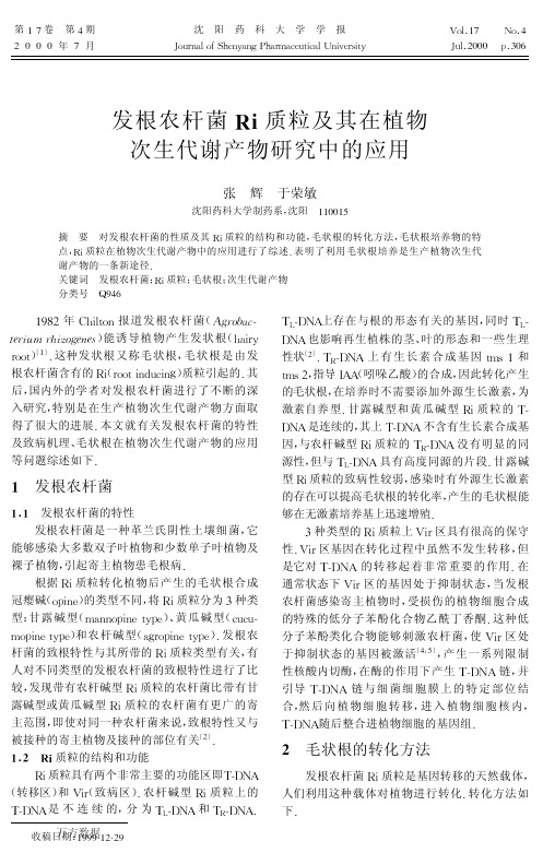 发根农杆菌Ri质粒及其在植物次生代谢产物研究中的应用