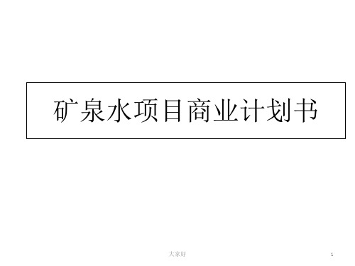 矿泉水项目商业计划书 PPT
