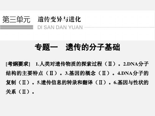 高考生物 二轮复习 专题一 遗传的分子基础