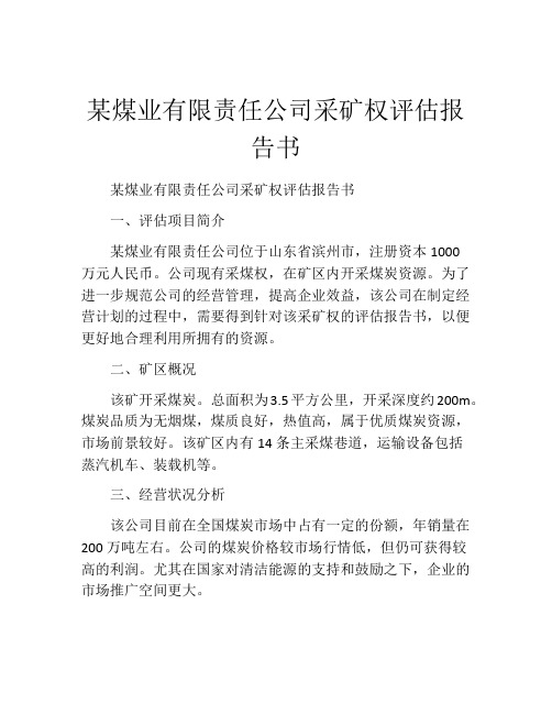 某煤业有限责任公司采矿权评估报告书