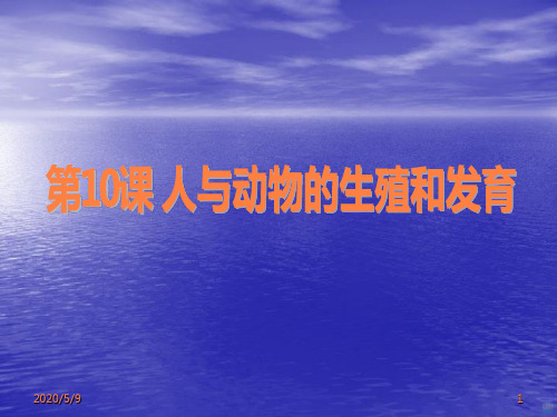 人与动物的生殖和发育PPT课件
