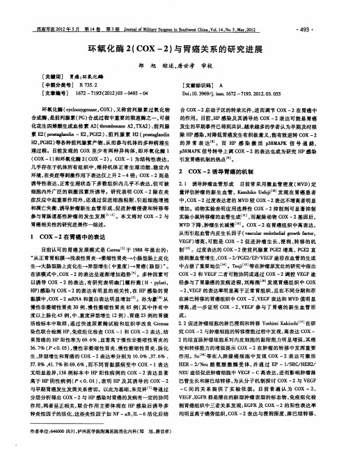 环氧化酶2(COX-2)与胃癌关系的研究进展