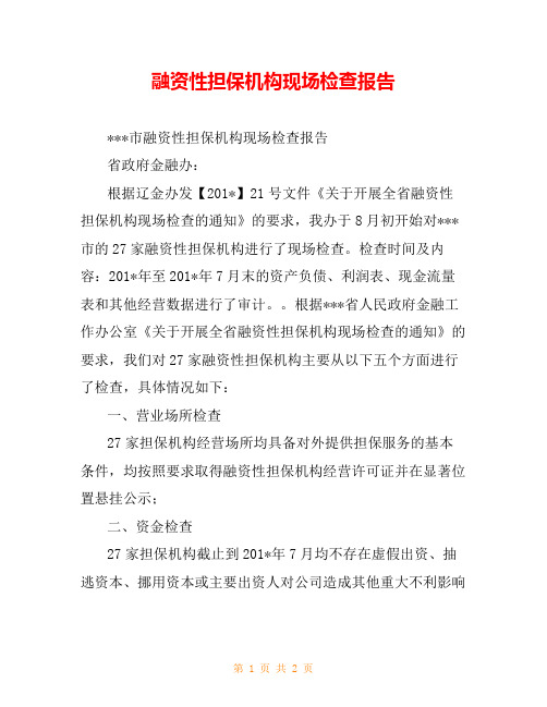 融资性担保机构现场检查报告