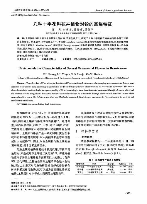 几种十字花科花卉植物对铅的富集特征