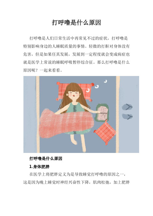 打呼噜是什么原因