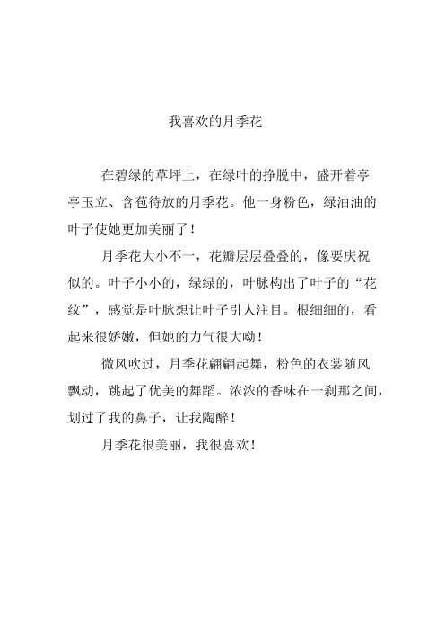 我喜欢的月季花