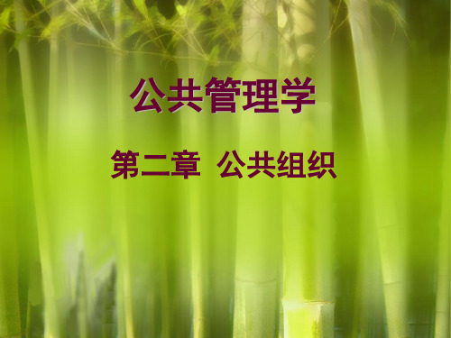 公共组织 PowerPointPresen t