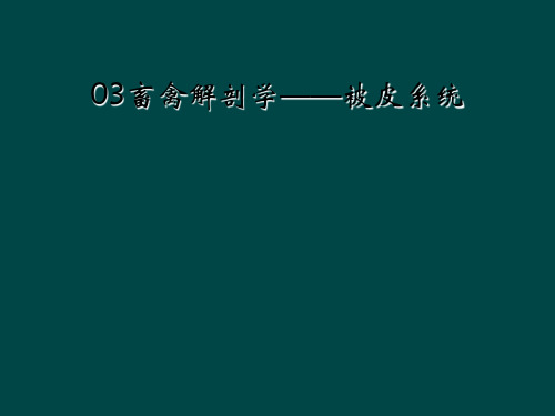 03畜禽解剖学——被皮系统