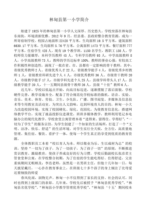 林甸县第一小学简介