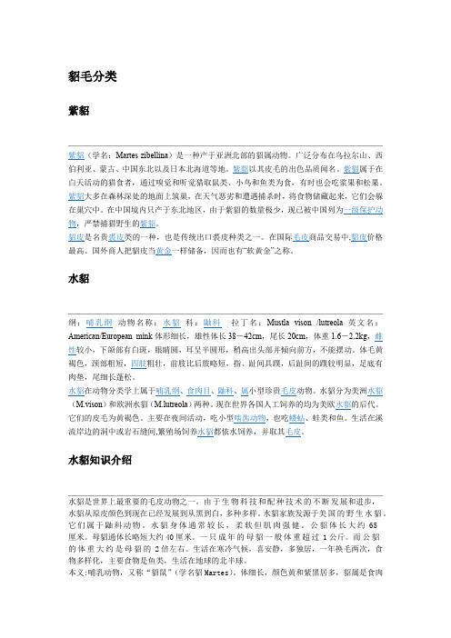 貂毛分类