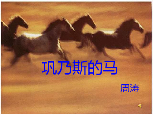 巩乃斯的马PPT