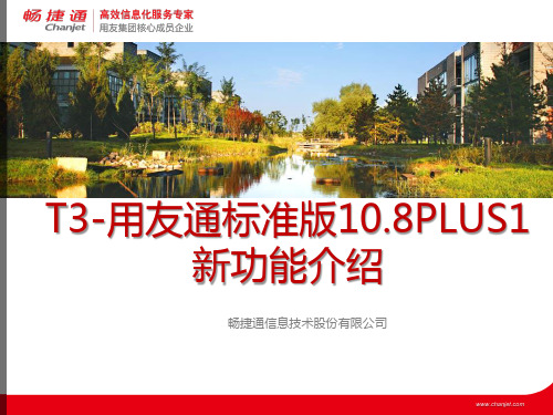 T3-用友通标准版10.8PLUS1新功能亮点介绍