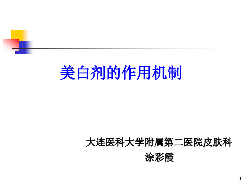 美白产品作用机制PPT幻灯片课件