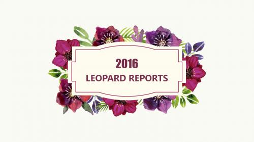 缤纷花卉极简通用幻灯片PPT模板