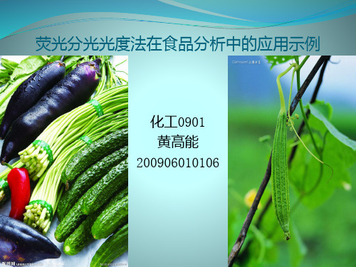 荧光光度法在食品分析中的应用示例PPT课件