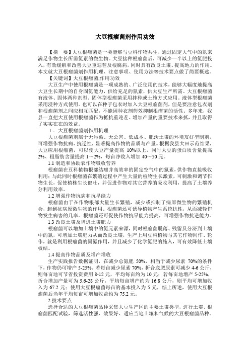大豆根瘤菌剂作用功效