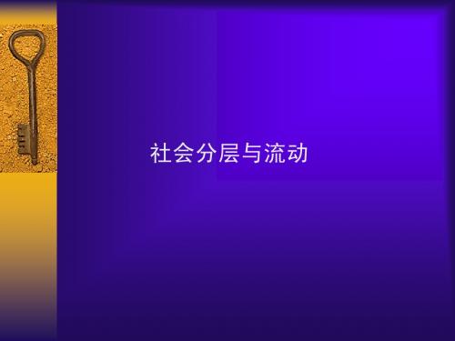 第四讲(社会分层)