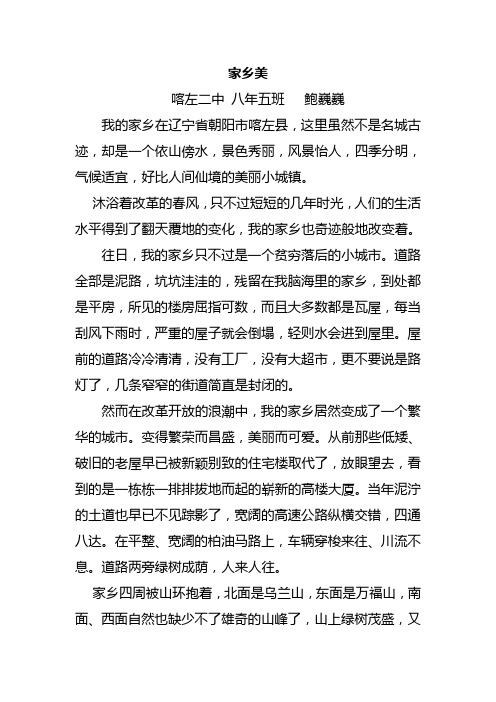 家乡美