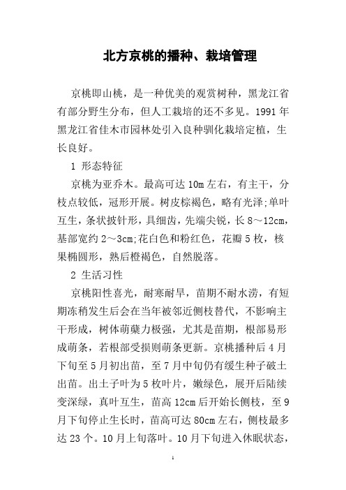 北方京桃的播种