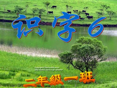 二年级语文下册识字6课件