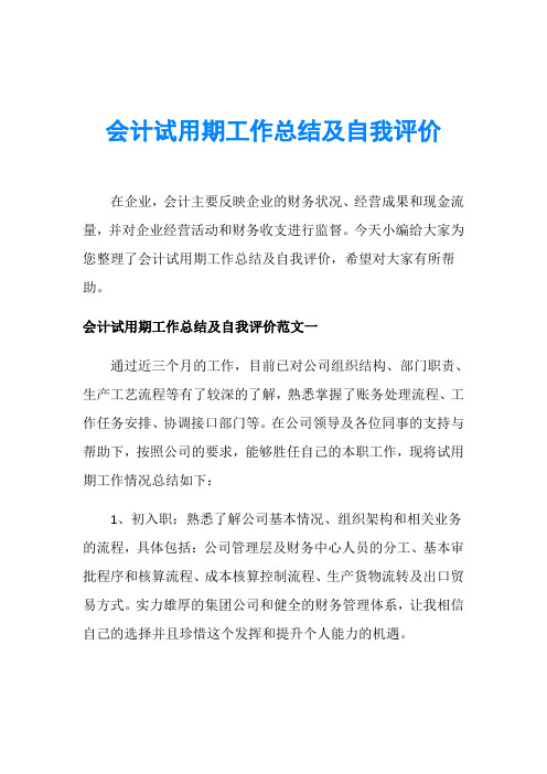 会计试用期工作总结及自我评价