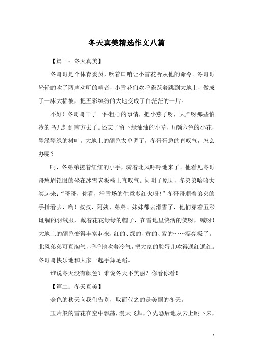 冬天真美精选作文八篇
