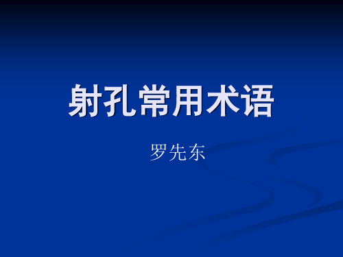 射孔常用术语