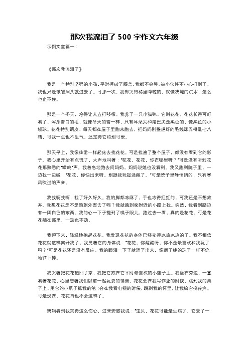 那次我流泪了500字作文六年级