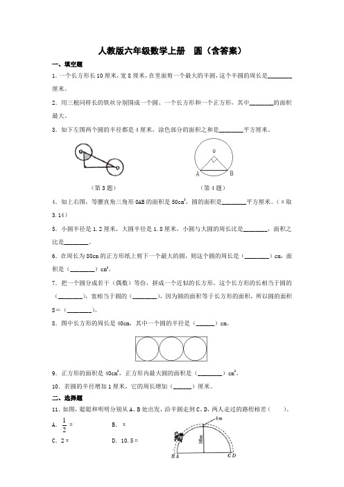 人教版六年级数学上册  圆(含答案)