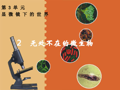 五年级下册科学_无处不在的微生物ppt(1)湘科版精品课件