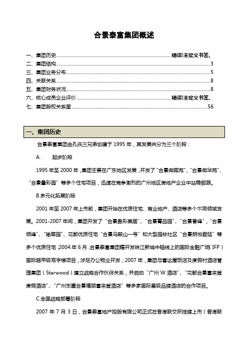 合景泰富集团概述范文