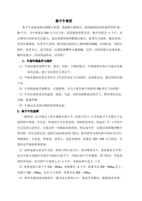 架子牛育肥