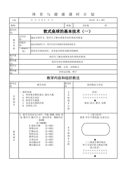 软式垒球的基本技术14.1