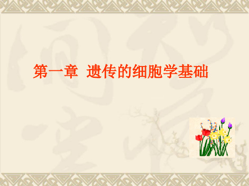 第一章-遗传的细胞学基础