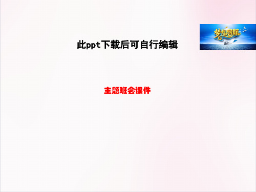 上网不上瘾主题班会课件