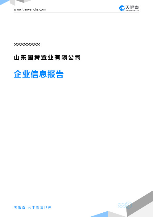 山东国舜置业有限公司企业信息报告-天眼查