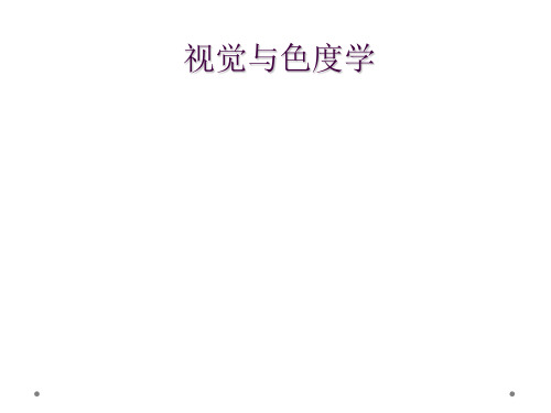 视觉与色度学