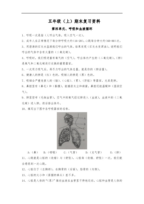 苏教版五年级上册科学第四单元呼吸和血液循环试题含答案